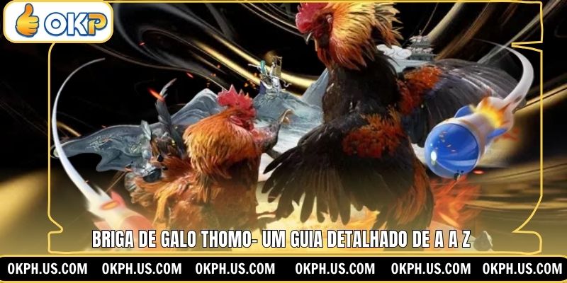 Briga De Galo Thomo– Um guia Detalhado De A a Z