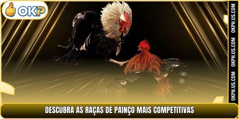 Descubra as raças de painço mais competitivas
