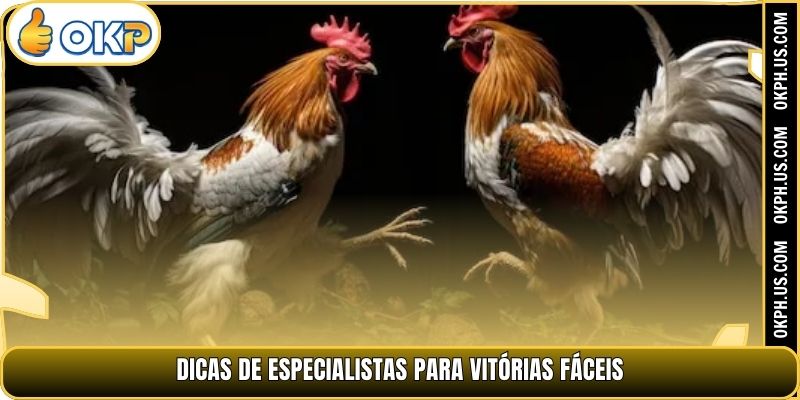 Dicas de especialistas para vitórias fáceis