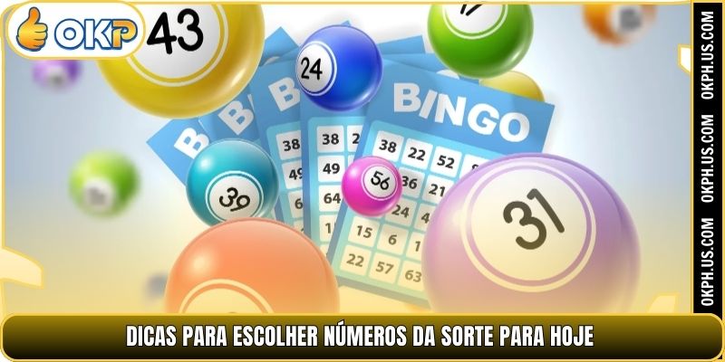 Dicas para escolher Números da sorte para hoje