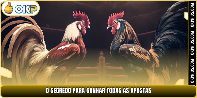 O segredo para ganhar todas as apostas