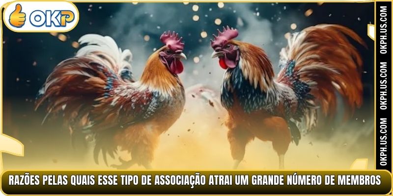 Razões pelas quais esse tipo de associação atrai um grande número de membros